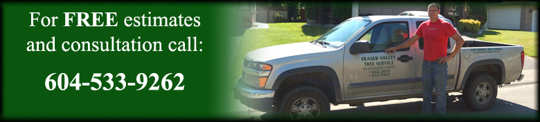 Fraser Valley Tree Service - 604-533-9262 - Free Estimates